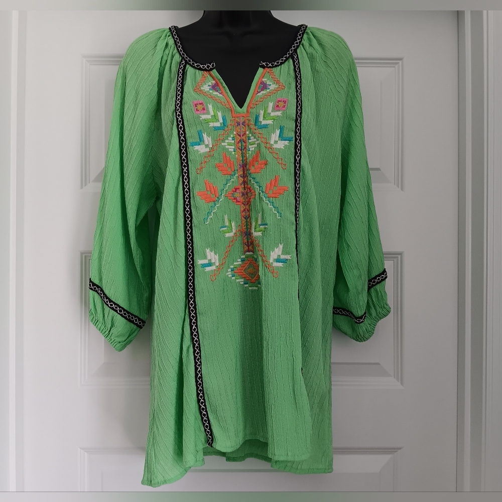 Calessa Embroidered Tunic in Apple Green XL